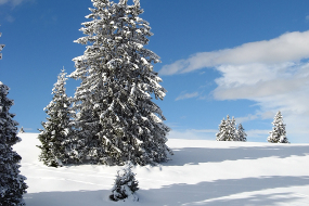 Skier aux Flumersberg