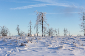 Winterberg
