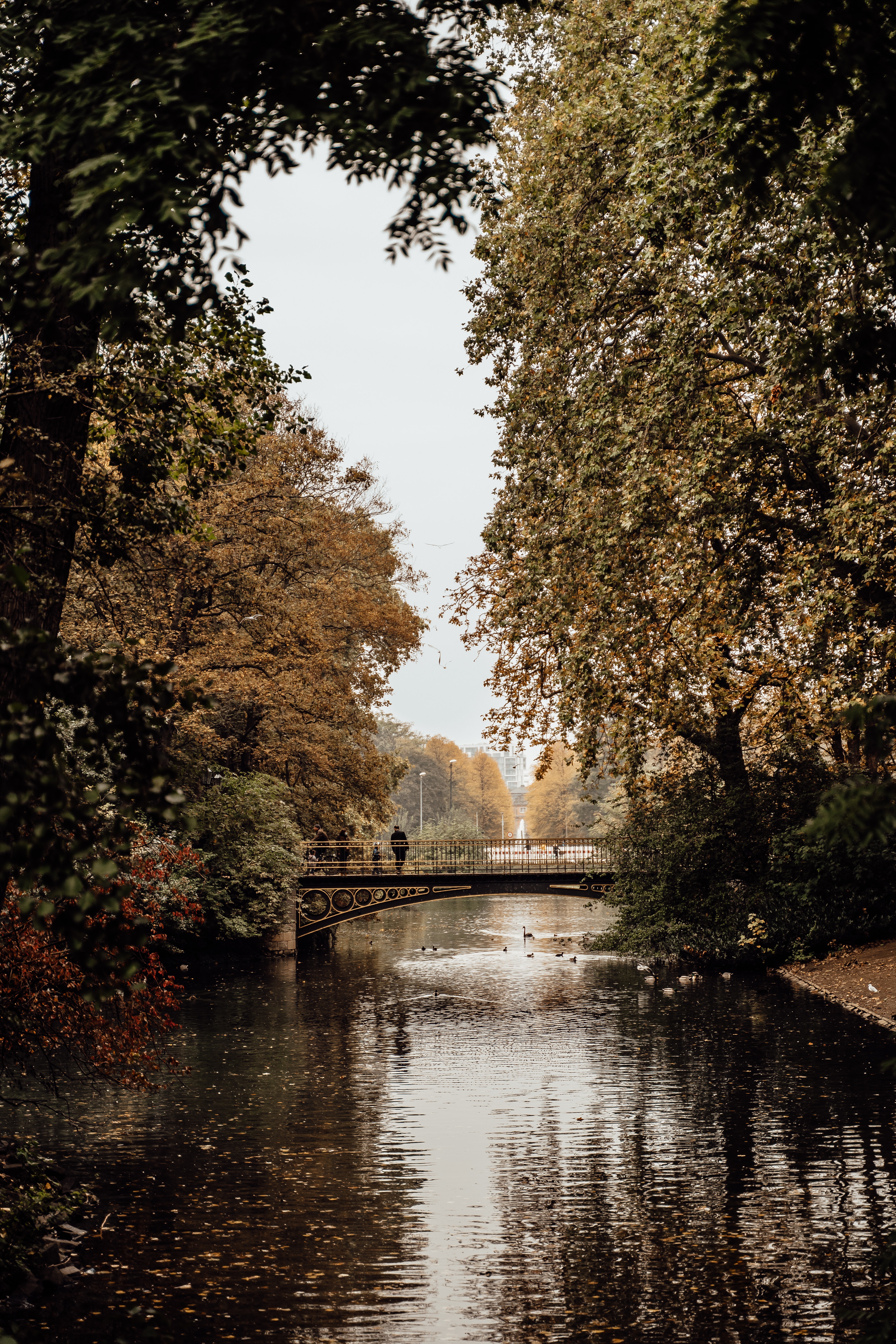 Herbstlicher Tag im Park in Duesseldorf