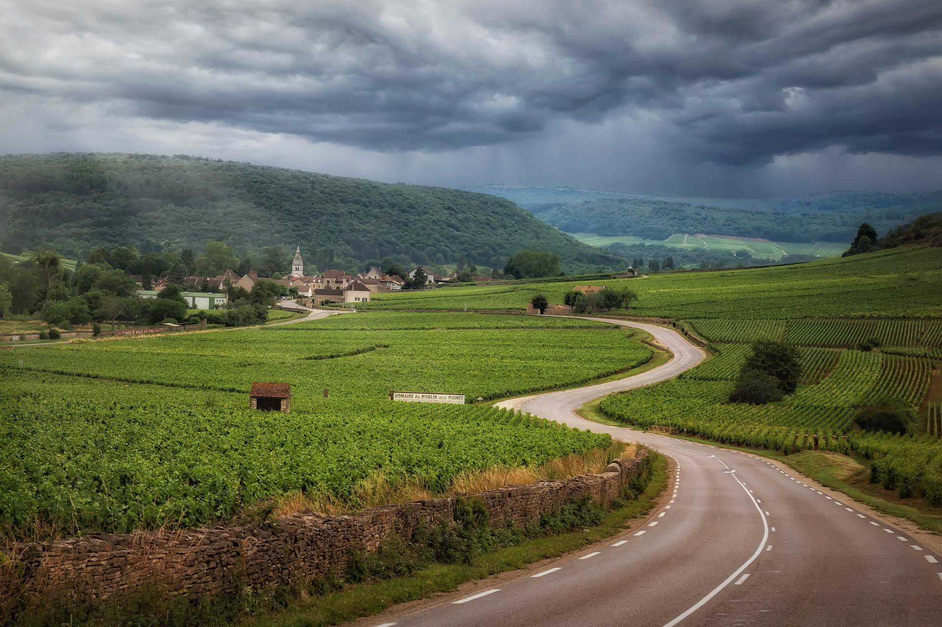 Route dans les vignobles de Bourgogne