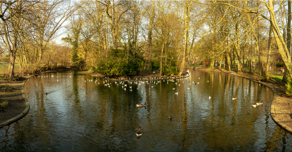 Luton: Lake at the Wardown Park in Luton.