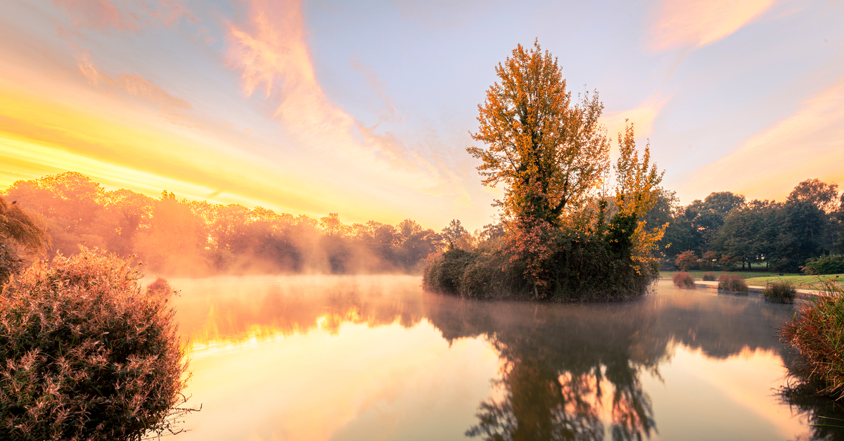 Northampton: Abington Park at sunrise.