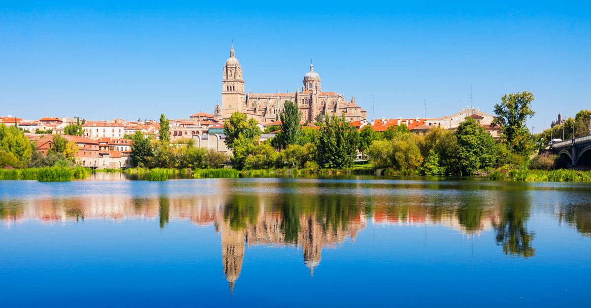 Salamanca: Famous late Gothic-Baroque Catedral.