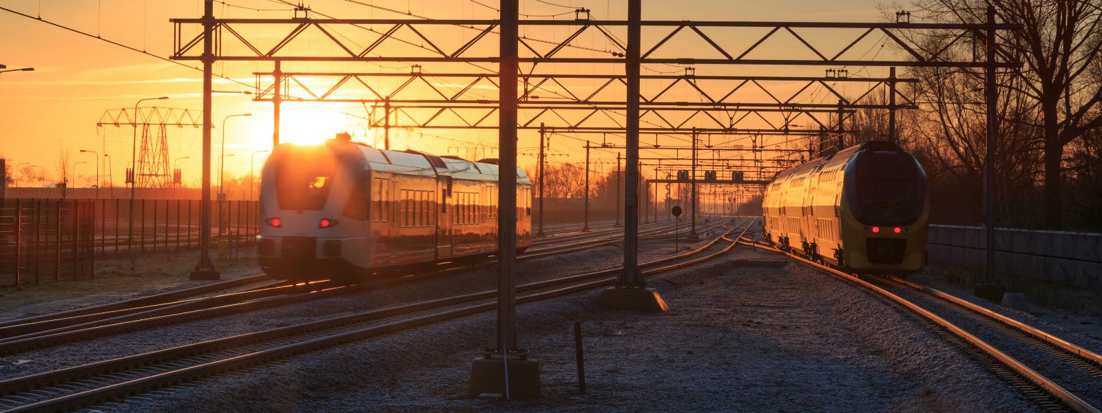 Treno Alpi Svizzere
