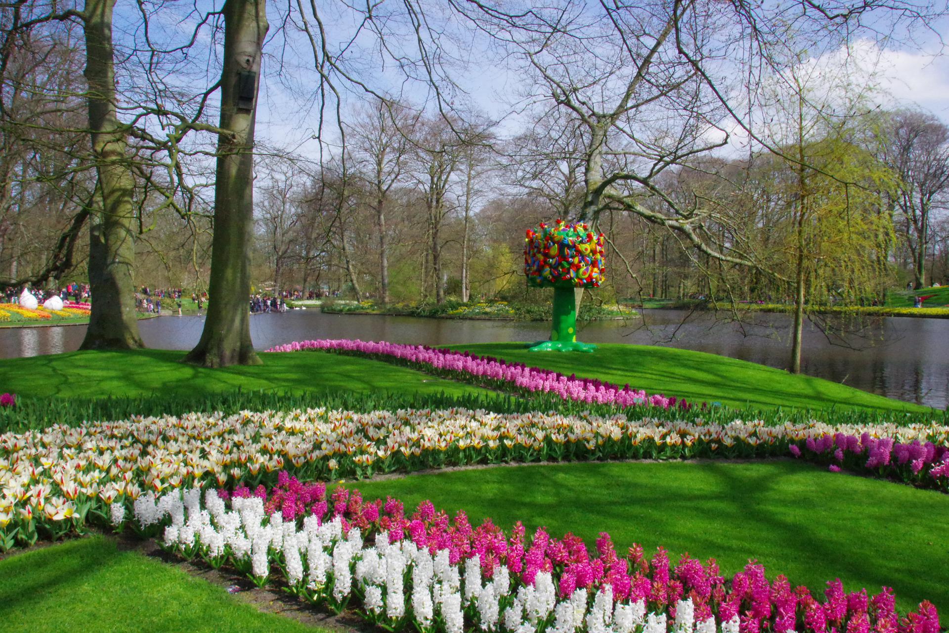 Paris-Amsterdam : le Parc Keukenhof et ses tulipes