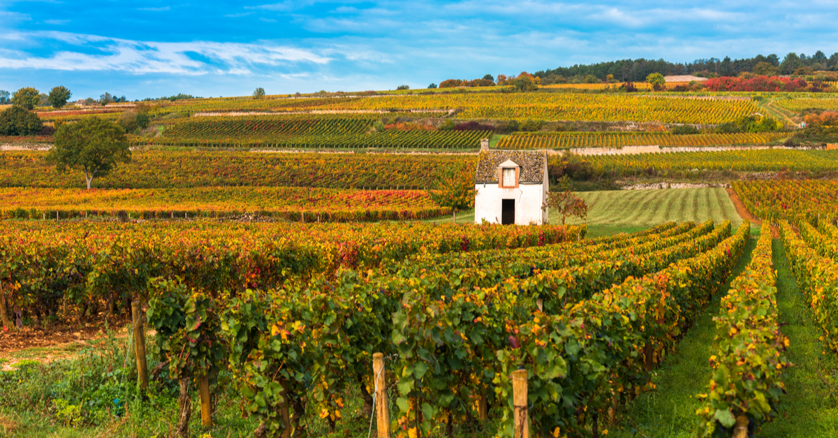 Vue du village du Creusot.