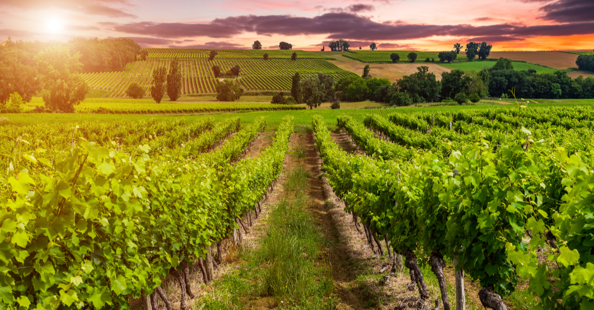 Campagna a Le Creusot.